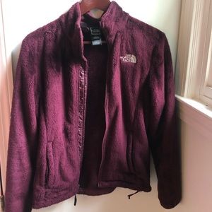 Plum colored North Face Osito Jacket